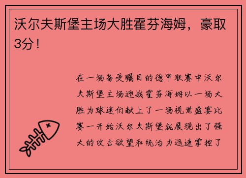 沃尔夫斯堡主场大胜霍芬海姆，豪取3分！