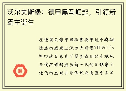 沃尔夫斯堡：德甲黑马崛起，引领新霸主诞生